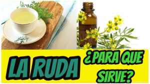 ignis-natura-ruda