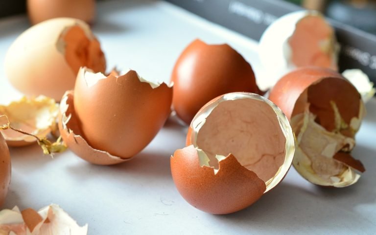 20 Sorprendentes Usos de la Cáscara de Huevo que Quizás Desconocías