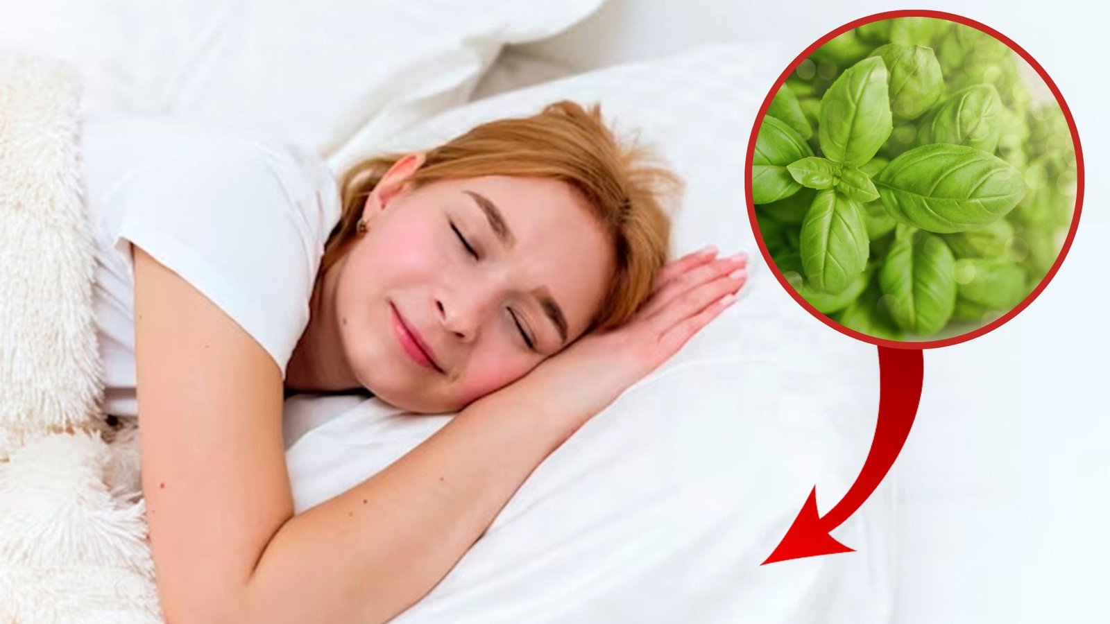 El Truco para Dormir como un Bebé: ¡Solo Usando una Hoja de Albahaca!