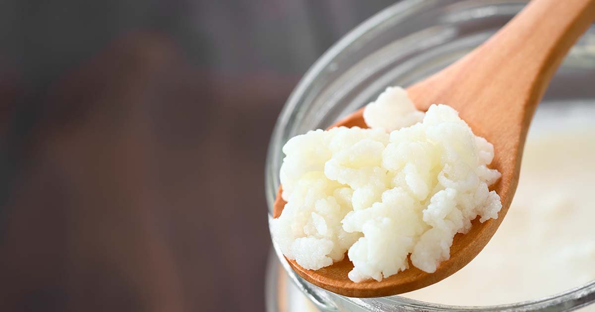 Como se crea el Kefir paso a paso y porque consumirlo cada día