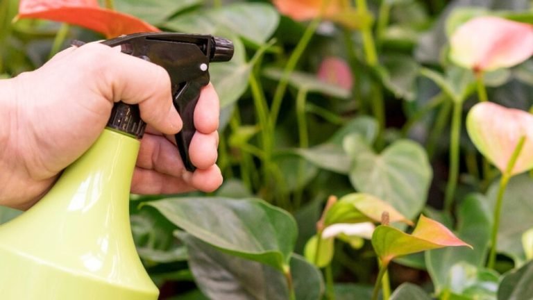 Cómo Hacer un Pesticida Orgánico con 2 Ingredientes Caseros