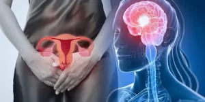 Neurocientíficas descubren como las hormonas modifican el cerebro durante la menstruación.