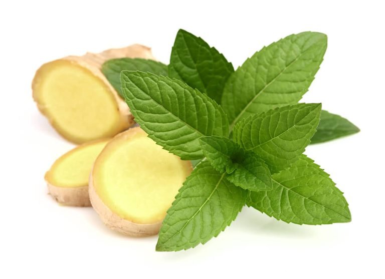 menta-jengibre-remedios-naturales-ignis-natura