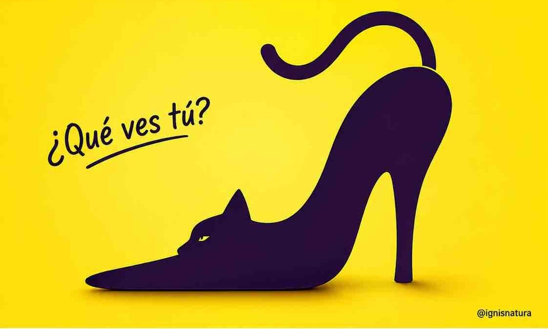 El Gran Desafío Óptico: ¿Gato o Zapato? Descubre los Secretos de tu Personalidad