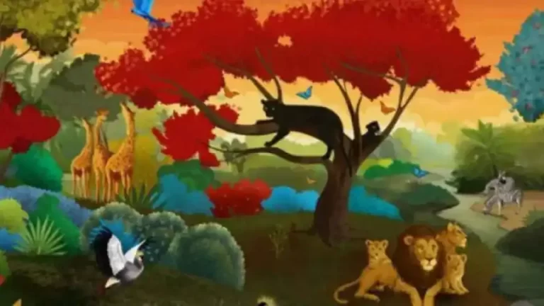 desafio-visual-animales-ignis-natura