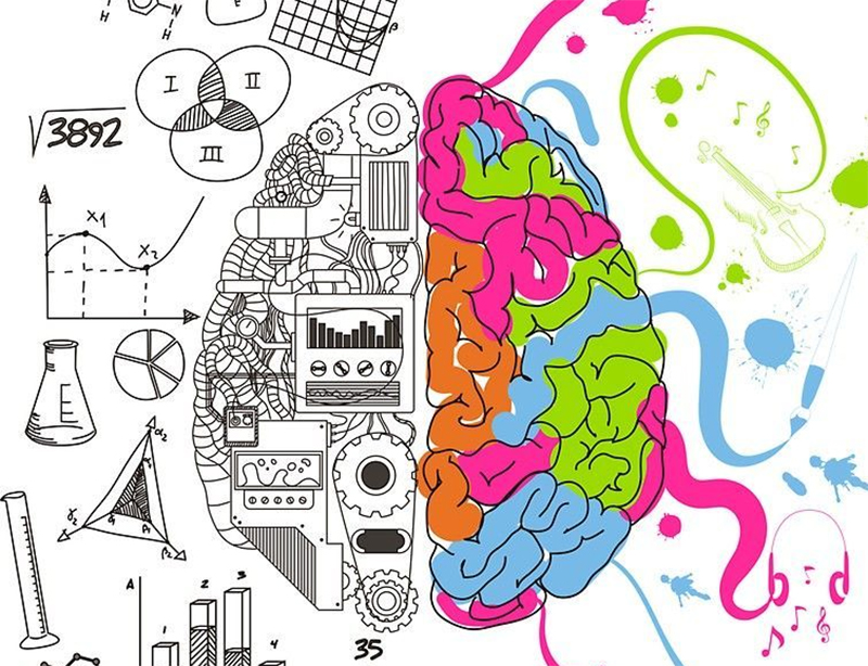 Descubre el Secreto para Retrasar el Envejecimiento Cerebral si Tienes Más de 40