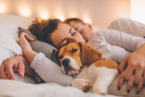 dormir-con-tu-mascota-ignis-natura