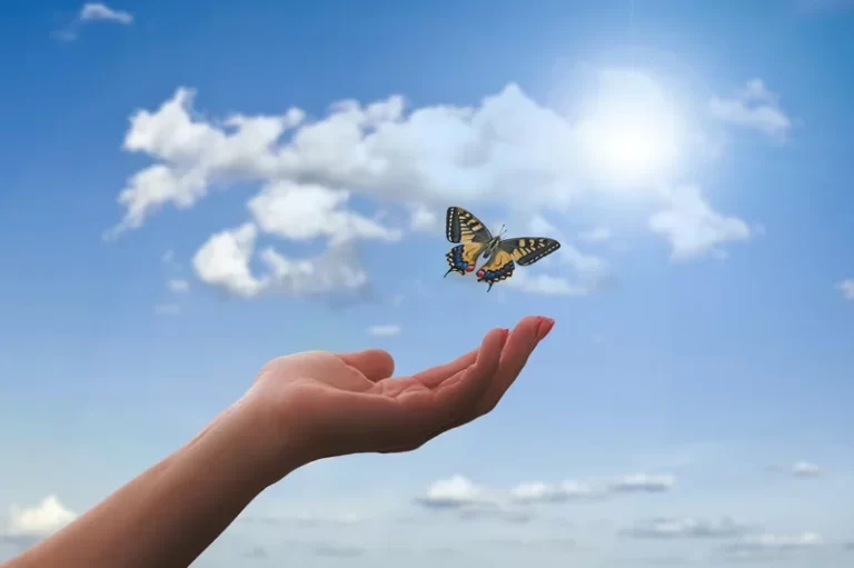 mariposa-vida-despues-de-muerte-ignis-natura