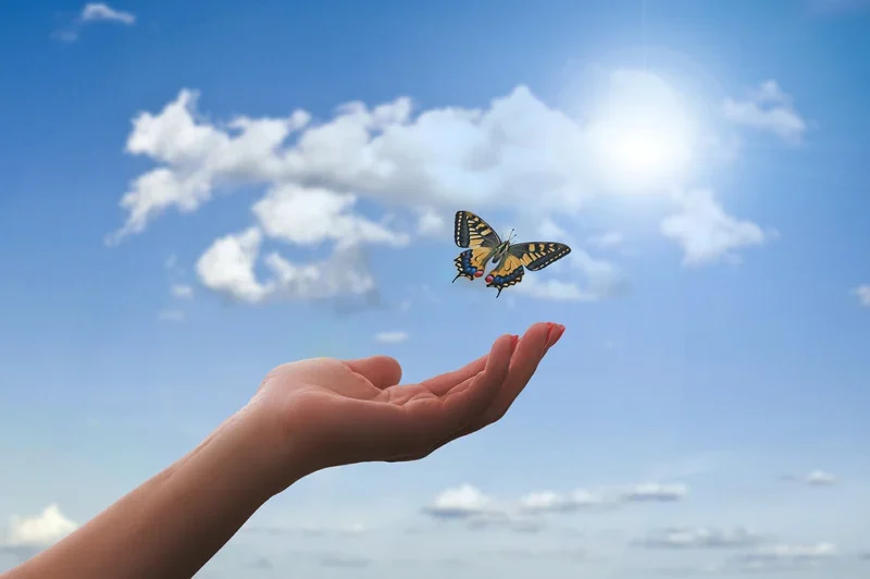 Mariposas: Embajadoras del Amor Eterno