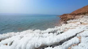 beneficios-ormus-ignis-natura