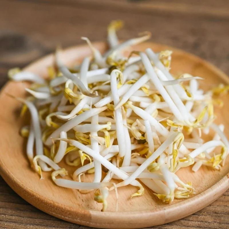 Los Beneficios de Consumir Diente de Dragón (Brotes de Soja) y Recetas Deliciosas para Incorporarlos a Tu Dieta