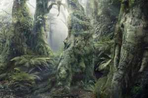 desafio-imagen-visual-encontrar-ignis-natura