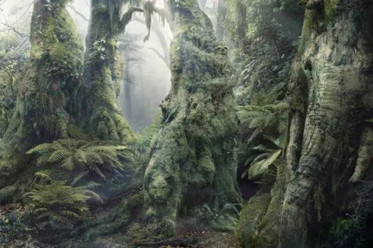 desafio-imagen-visual-encontrar-ignis-natura