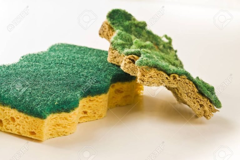 esponja-reutilizar-vieja-usos-ignis-natura