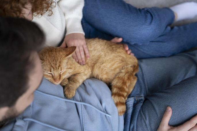 ¿Qué significa que un gato se te suba encima? Esto le está sucediendo a tu cuerpo