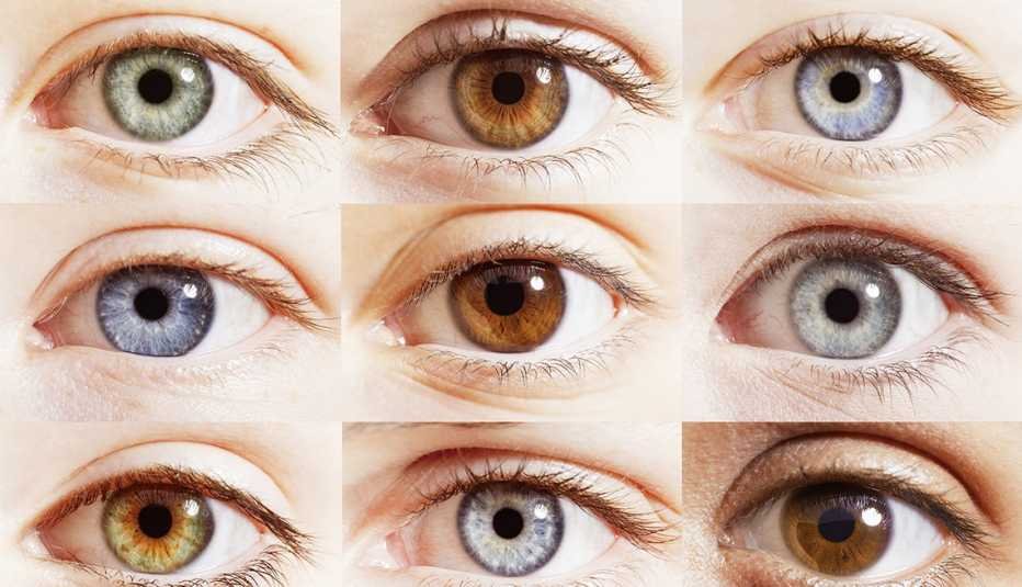 Descubre Qué Dice de Ti el Color de Tus Ojos: Todo lo que Debes Saber