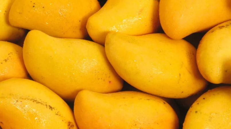 mango-beneficios-colageno-piel-radiante-ignis-natura