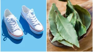 por-que-usar-una-hoja-laurel-el-zapato-ignis-natura
