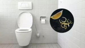 baño-limpio-ignis-natura
