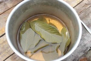 té-hoja-guayaba-beneficios-ignis-natura