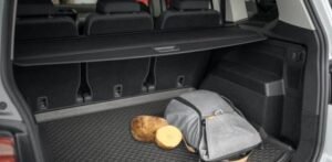 patata-en-auto-ignis-natura