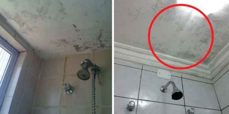 baño-humedo-soluciones-ignis-natura
