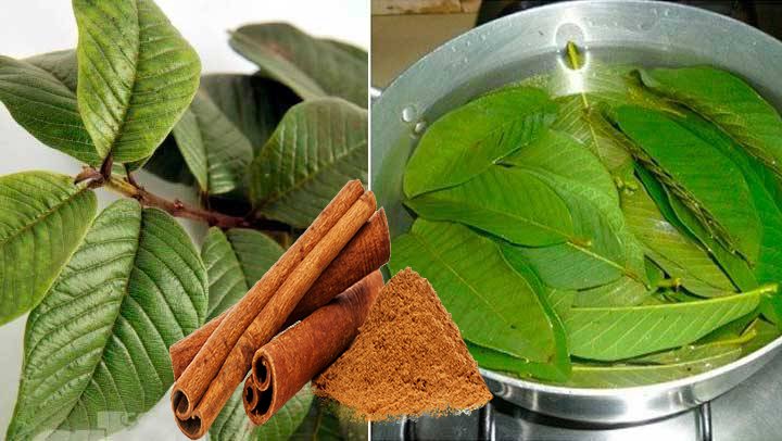 Beneficios del Té de Canela con Hoja de Guayaba: Una Combinación Natural para la Salud