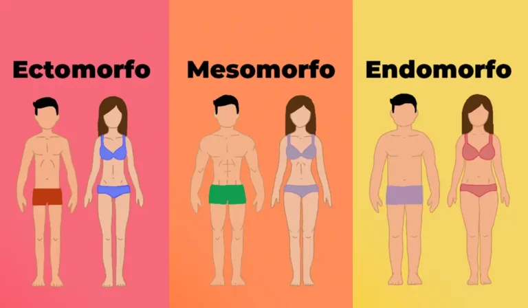 tipos-de-cuerpos-contextura-ignis-natura