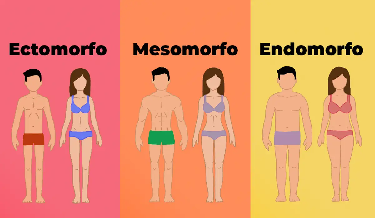 Tipos de Complexión Corporal: Eres Ectomorfo, Mesomorfo o Endomorfo