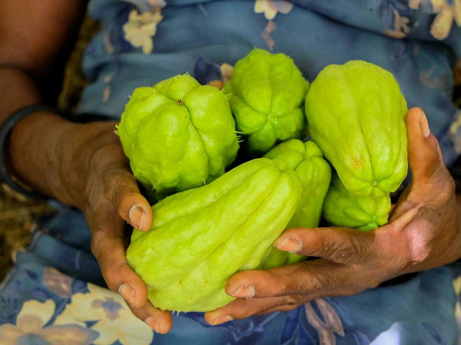 Beneficios del Chayote para la Salud