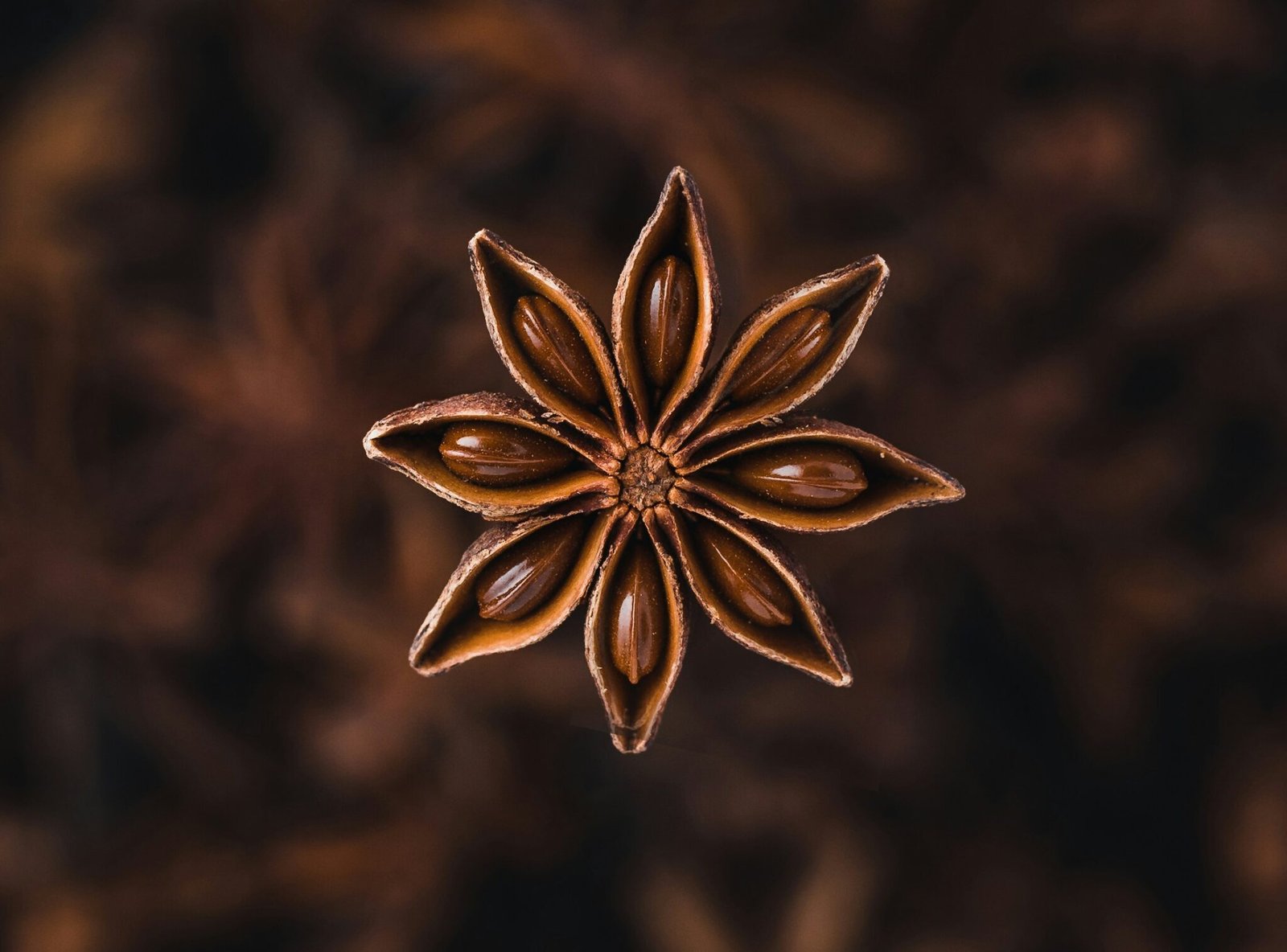 selective focus photography of star anise spice