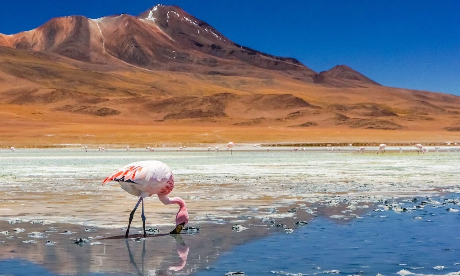 Chile en Pie de Lucha: El Audaz Plan Nacional para Enfrentar el Cambio Climático