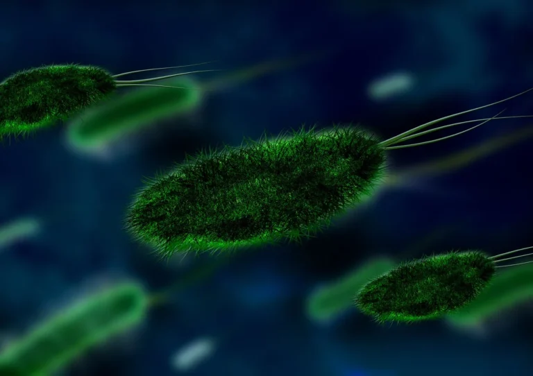 Bacteria 106583 1280