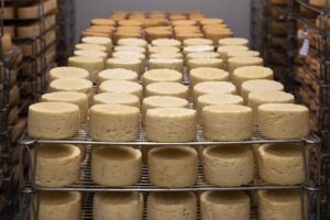 Cheese 5125021 640
