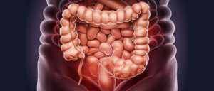 Colon 8804708 960 720