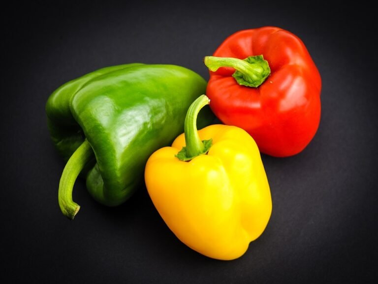 Paprika 966289 960 720