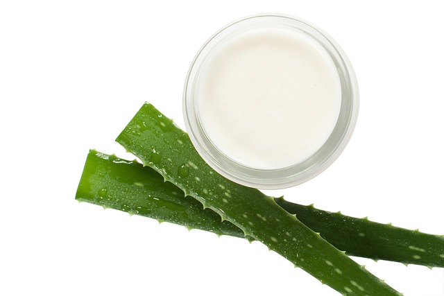 Si estás luchando con alguno de estos 16 problemas de salud, el Aloe Vera podría ser la solución natural que necesitas