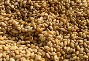Sesame seeds 6690011 640