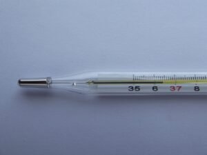 Thermometer 106378 1280