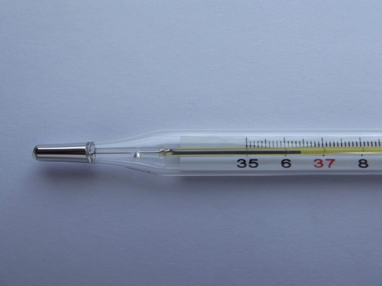 Thermometer 106378 1280