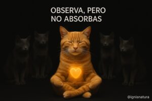 3784b862 1751 4dd3 9279 e05848de3b5b
