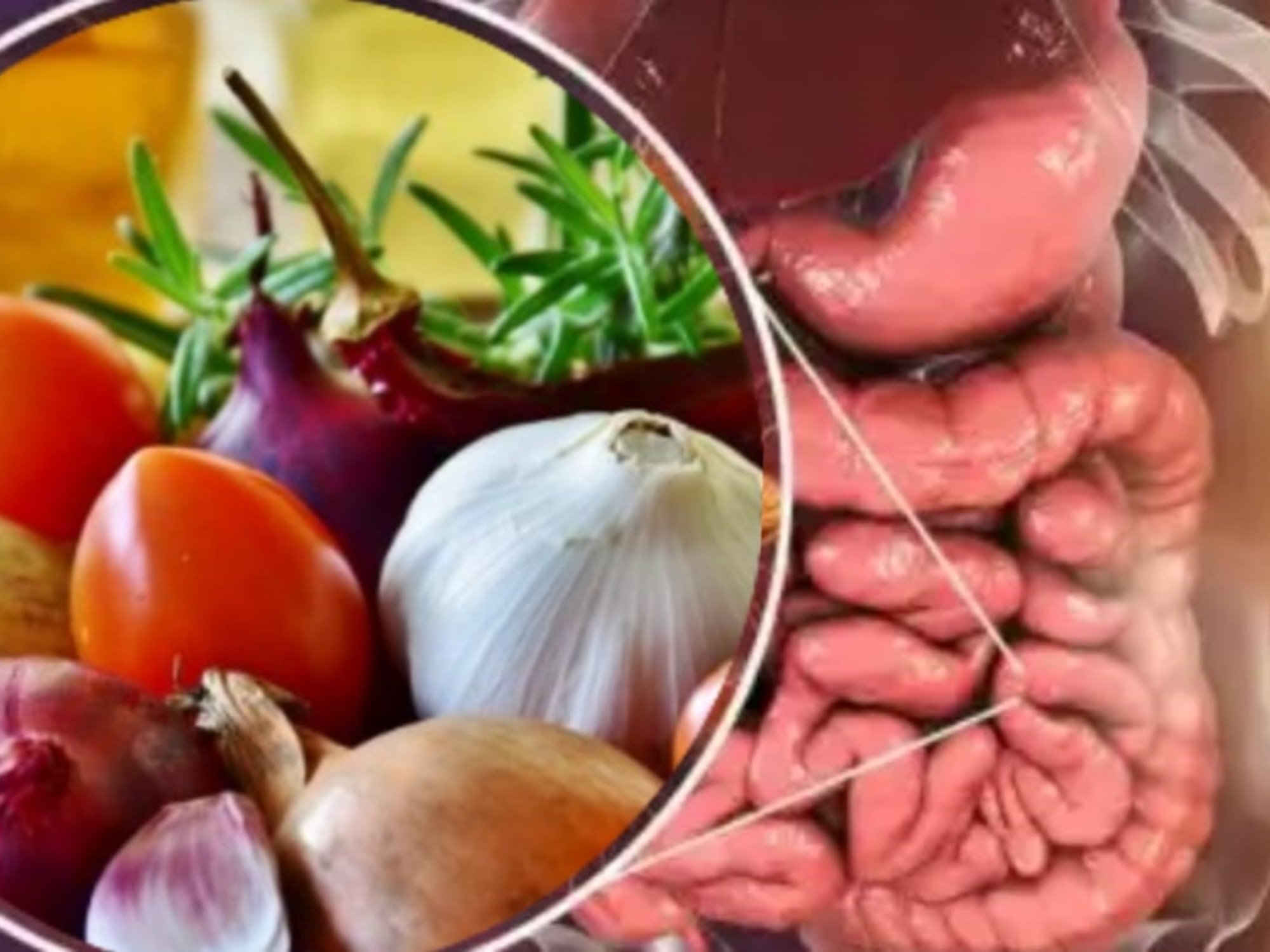 Alimentos que Eliminan Parásitos de tu Intestino de Forma Natural