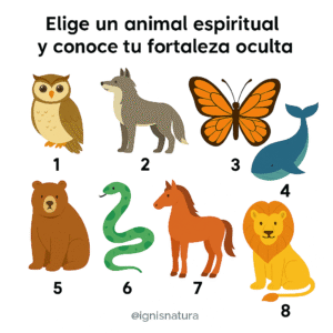 98dfa2d1 c6bc 446a 80bd f7adfc7435c8