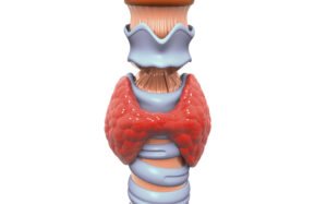 Anatomia cancer tiroides