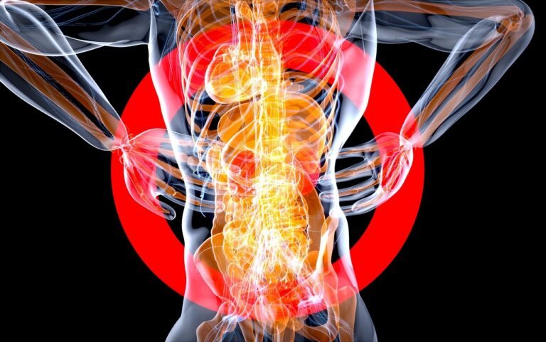 Anatomy 7156134 1280