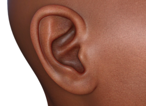Ear 4920994 640