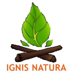 Logo oficial ignis
