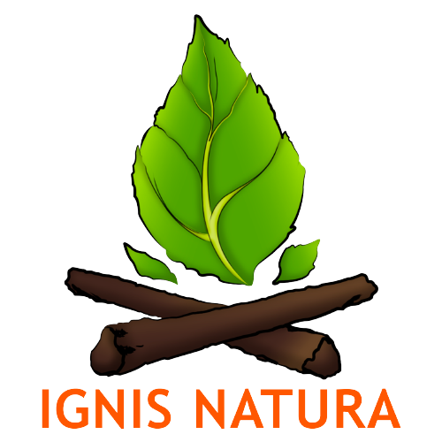 Logo oficial ignis