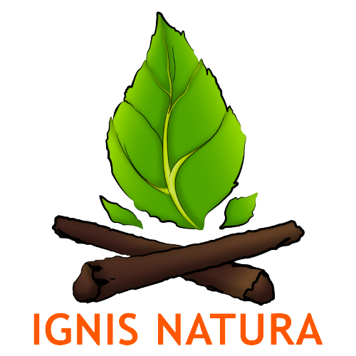 Logo oficial ignis