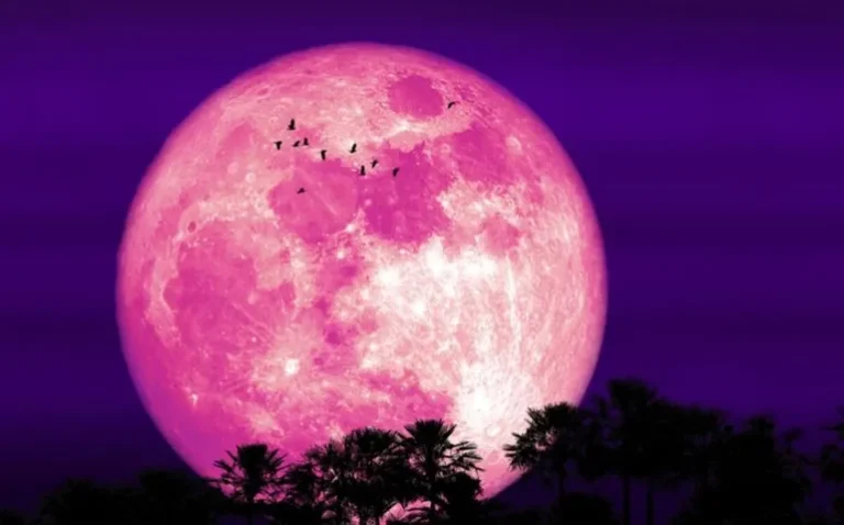 Luna fresa 1jpg.jpg